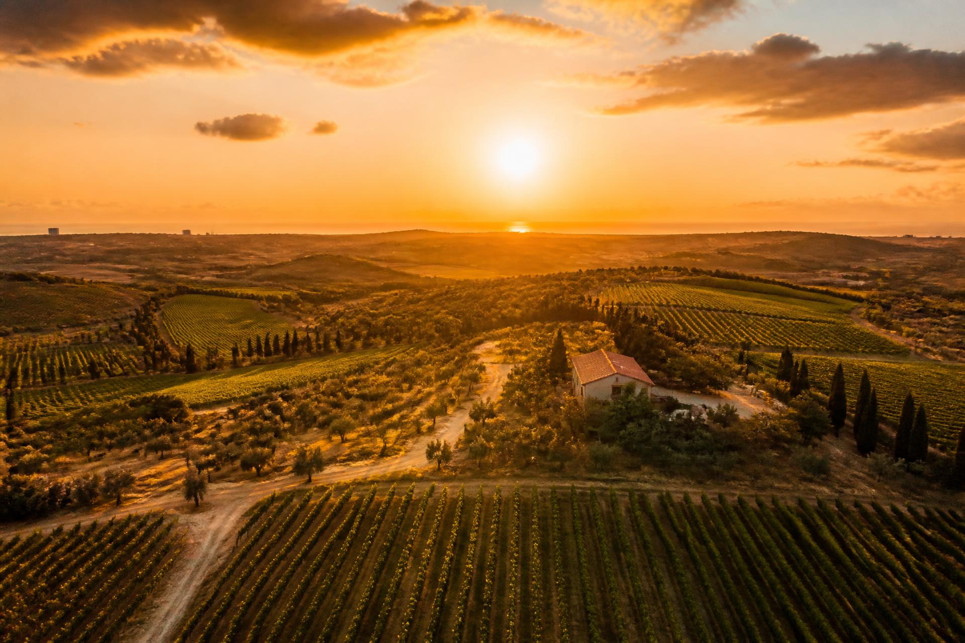 Israeli agricultural fields near Binyamina at golden sunset